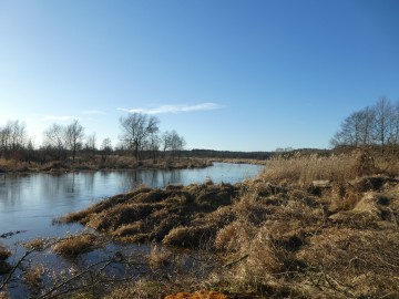 Wiosenne dni kalendarzowej zimy, <p>W.Pogorzelska</p>